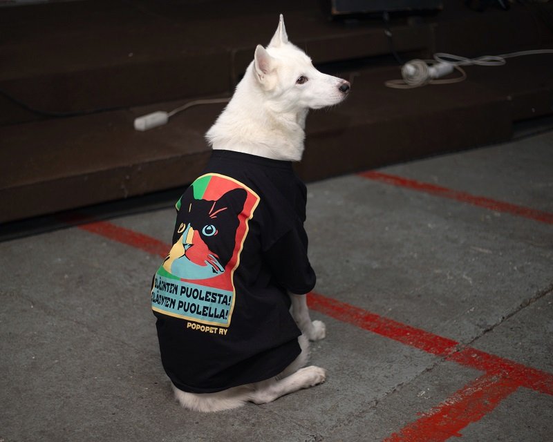 T-Paita – Eläinten puolella