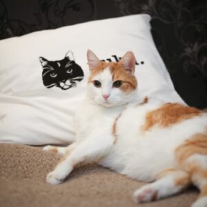 Tyynynpäällinen Nuku