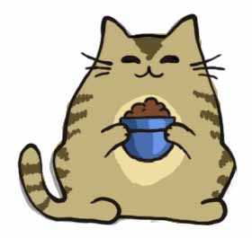 Lahjoitus: Kissalle evästä kolmeksi päiväksi