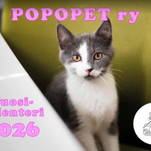 2026 Kalenteri - 1 kalenteri