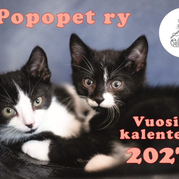 Kalenteri2027n